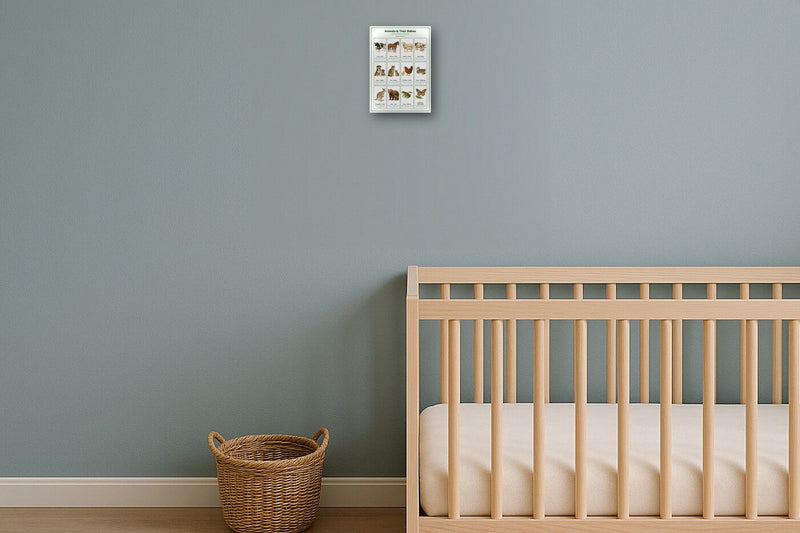 Load image into Gallery viewer, Animals &amp; Their Babies: A4 Matte Laminated Educational Poster Print - 210x297mm-2
