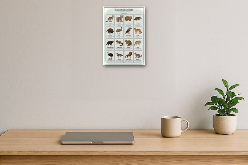Load image into Gallery viewer, Australian Animals: A4 Matte Laminated Educational Poster Print - 210x297mm-2
