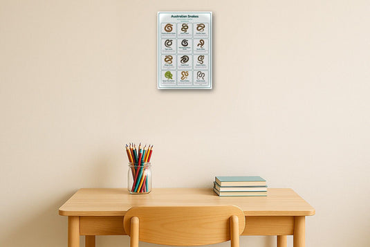 Australian Snakes: A4 Matte Laminated Educational Poster Print - 210x297mm-2