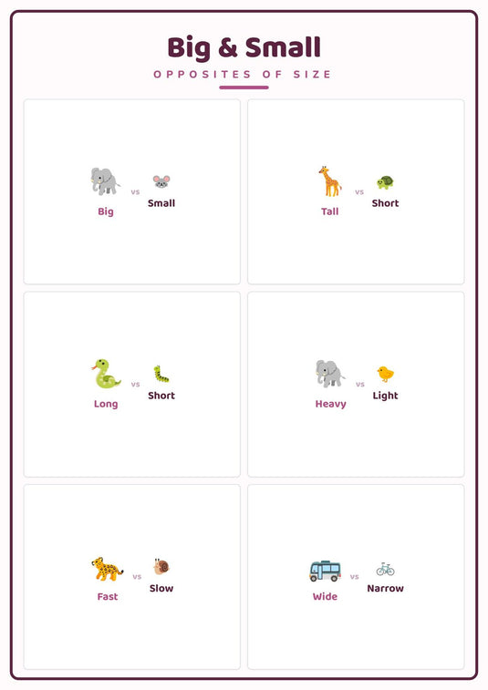 Big & Small: A4 Matte Laminated Educational Poster Print - 210x297mm-0