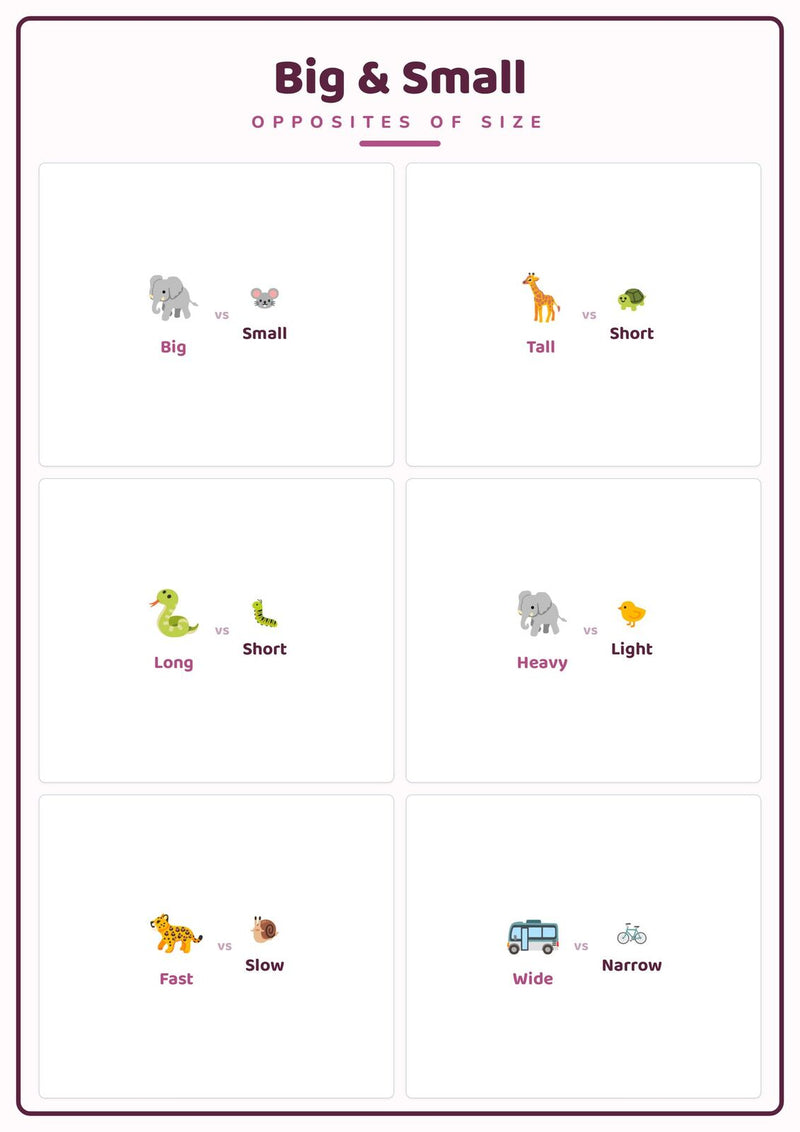 Load image into Gallery viewer, Big &amp; Small: A4 Matte Laminated Educational Poster Print - 210x297mm-1
