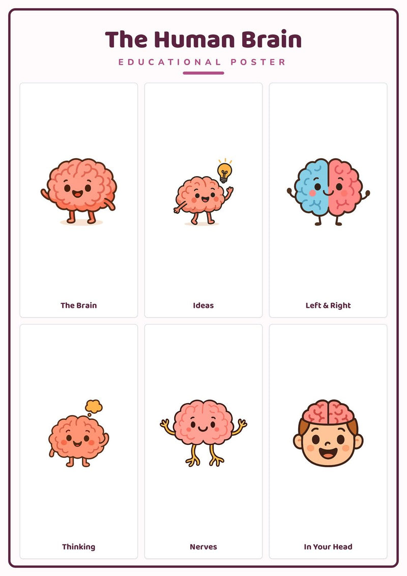 Load image into Gallery viewer, The Human Brain: A4 Matte Laminated Educational Poster Print - 210x297mm-1
