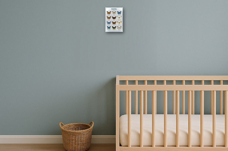 Load image into Gallery viewer, Butterflies: A4 Matte Laminated Educational Poster Print - 210x297mm-2
