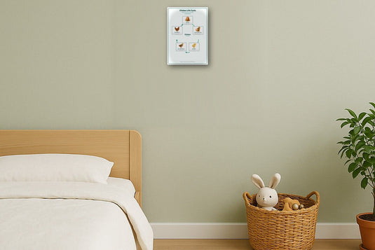 Chicken Life Cycle: A4 Matte Laminated Educational Poster Print - 210x297mm-2