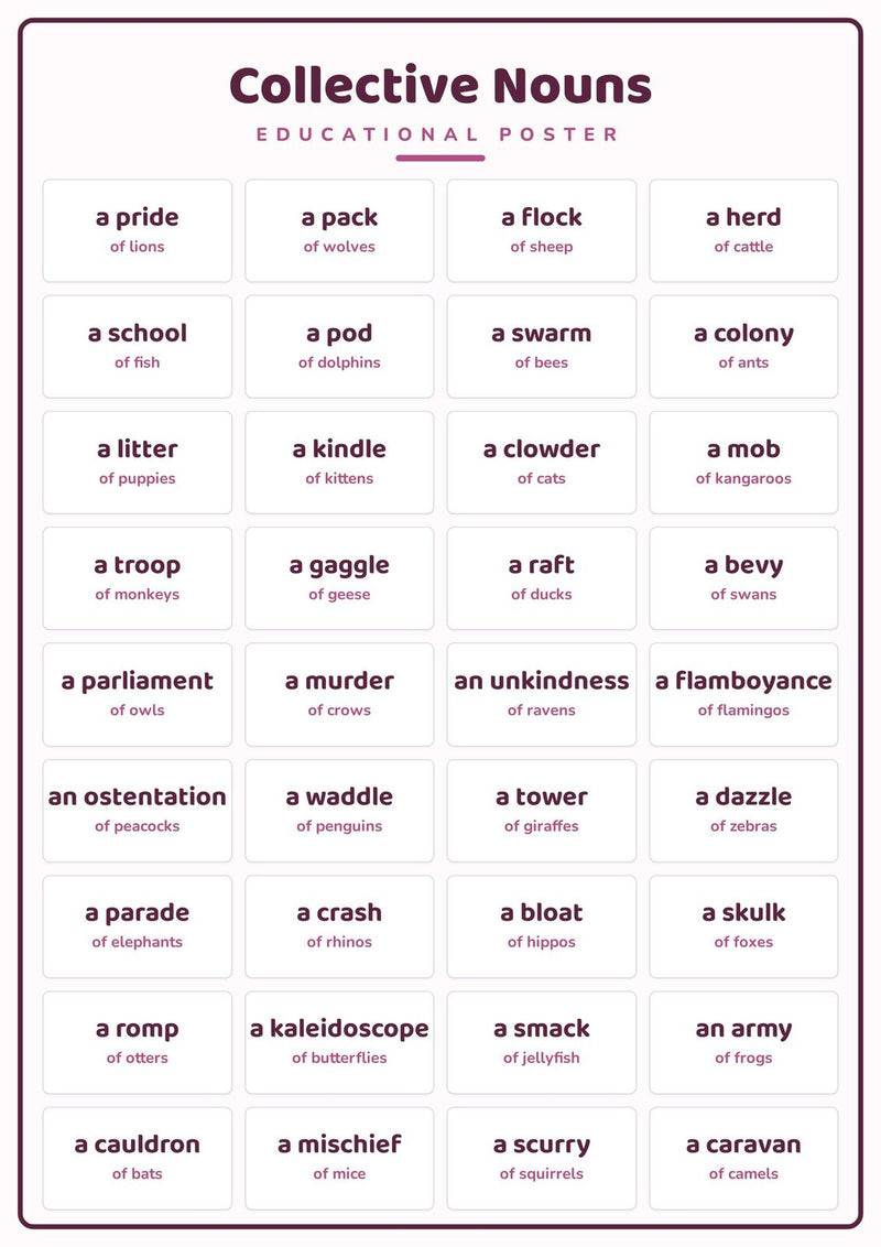 Load image into Gallery viewer, Collective Nouns: A4 Matte Laminated Educational Poster Print - 210x297mm-0
