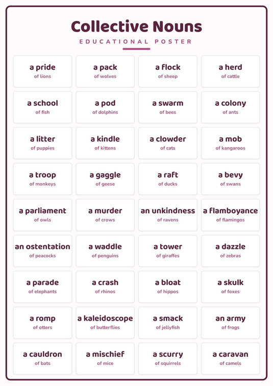 Collective Nouns: A4 Matte Laminated Educational Poster Print - 210x297mm-0