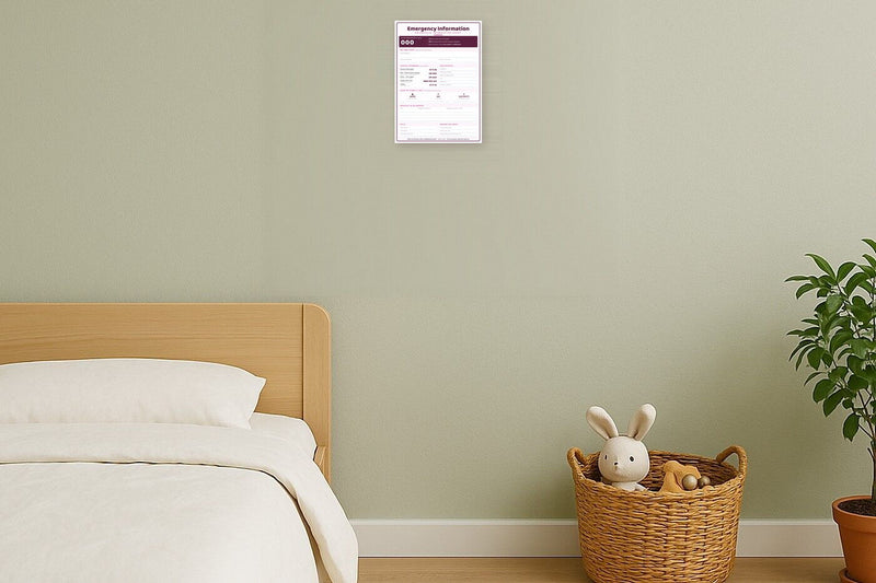 Load image into Gallery viewer, Household Emergency Information Sheet: A4 Matte Laminated Educational Poster Print - 210x297mm-2
