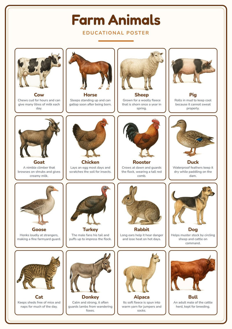 Load image into Gallery viewer, Farm Animals: A4 Matte Laminated Educational Poster Print - 210x297mm-1
