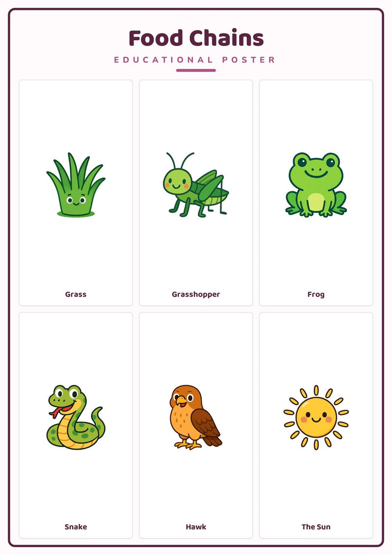 Load image into Gallery viewer, Food Chains: A4 Matte Laminated Educational Poster Print - 210x297mm-0
