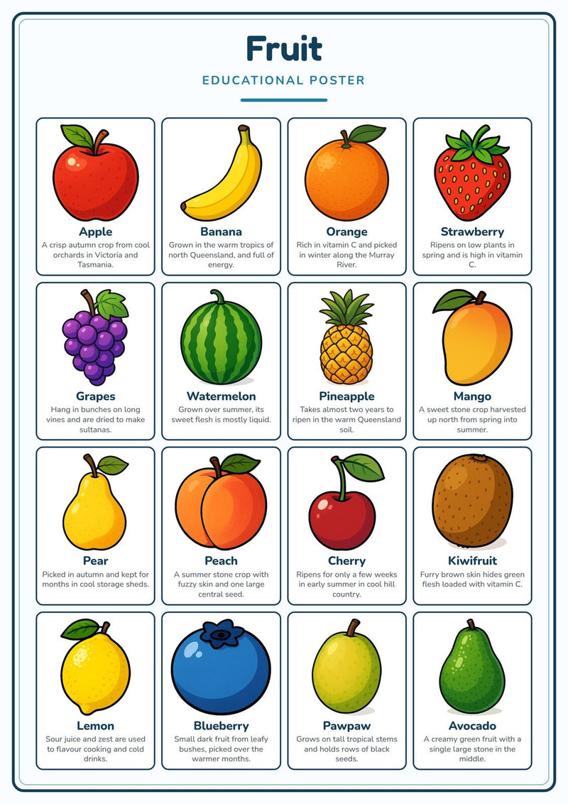 Load image into Gallery viewer, Fruit: A4 Matte Laminated Educational Poster Print - 210x297mm-0
