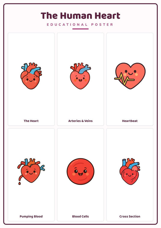 The Human Heart: A4 Matte Laminated Educational Poster Print - 210x297mm-0