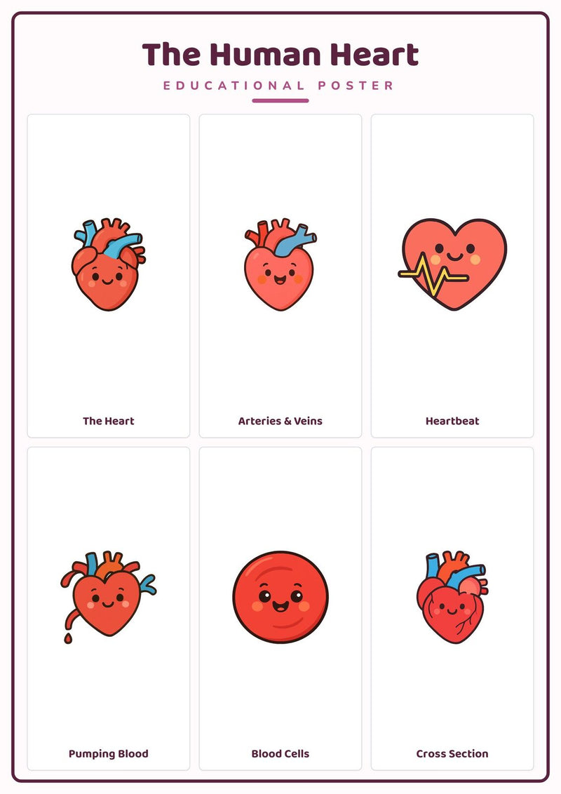 Load image into Gallery viewer, The Human Heart: A4 Matte Laminated Educational Poster Print - 210x297mm-1
