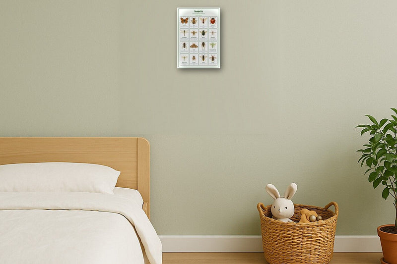 Load image into Gallery viewer, Insects: A4 Matte Laminated Educational Poster Print - 210x297mm-2
