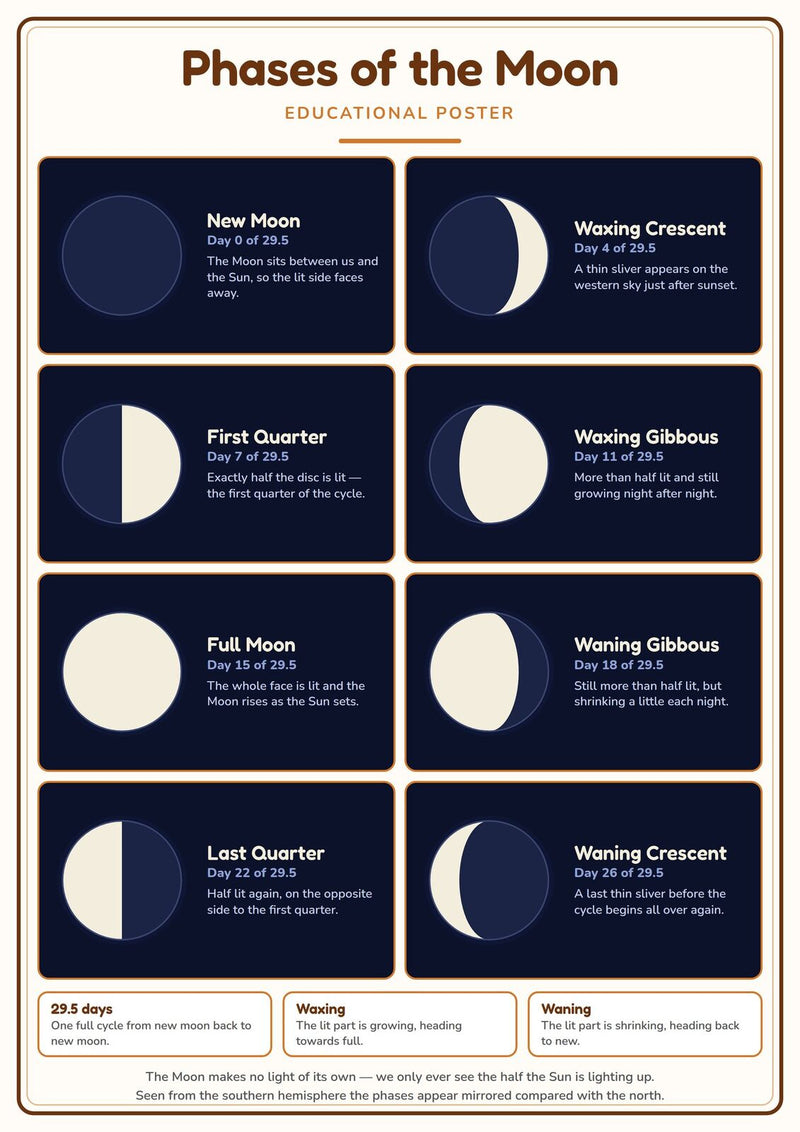Load image into Gallery viewer, Phases of the Moon: A4 Matte Laminated Educational Poster Print - 210x297mm-0
