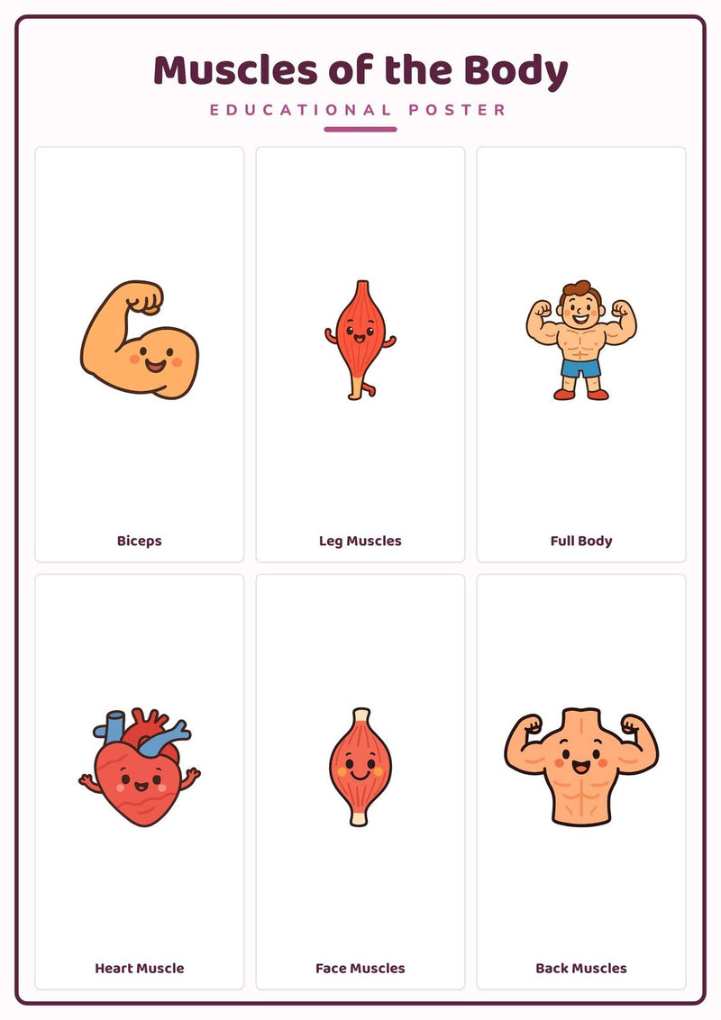 Load image into Gallery viewer, Muscles of the Body: A4 Matte Laminated Educational Poster Print - 210x297mm-1
