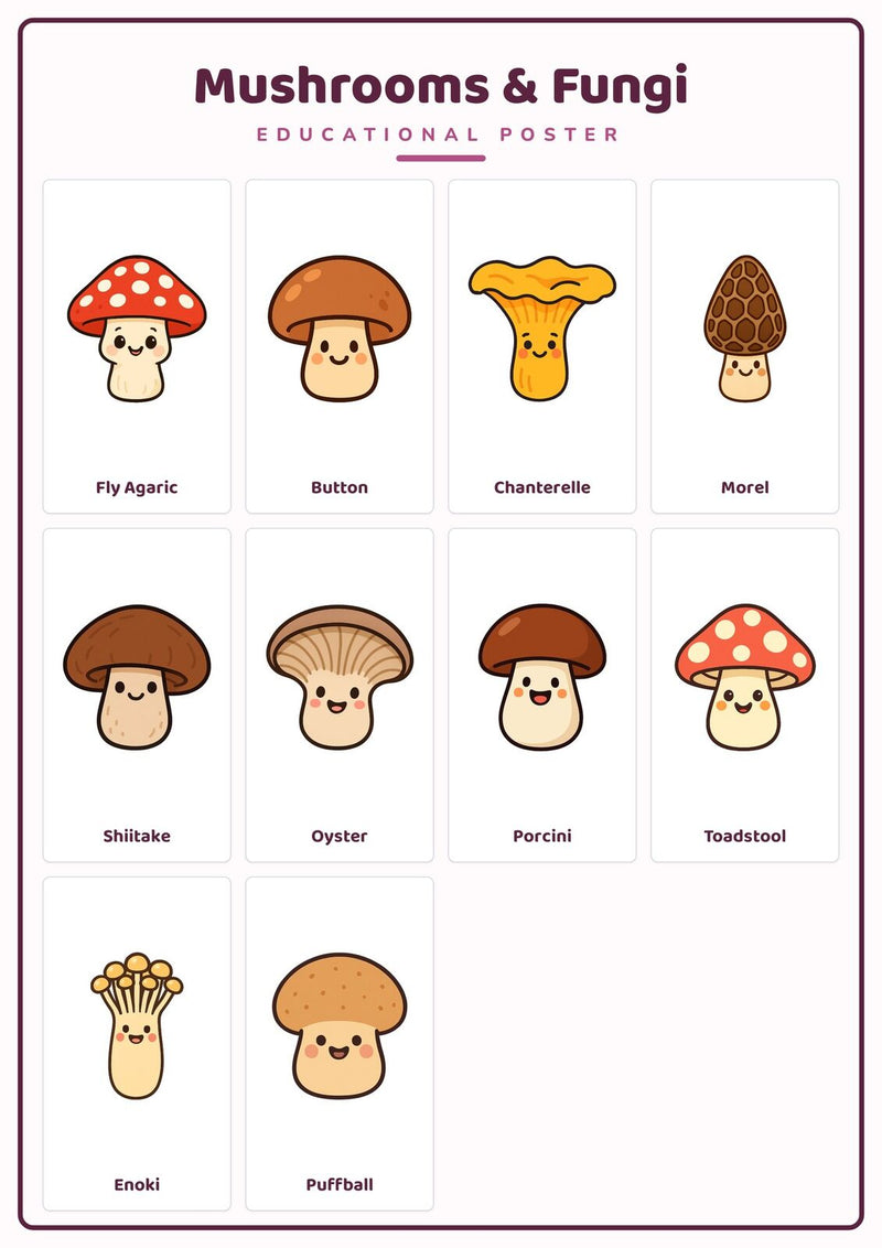 Load image into Gallery viewer, Mushrooms &amp; Fungi: A4 Matte Laminated Educational Poster Print - 210x297mm-1
