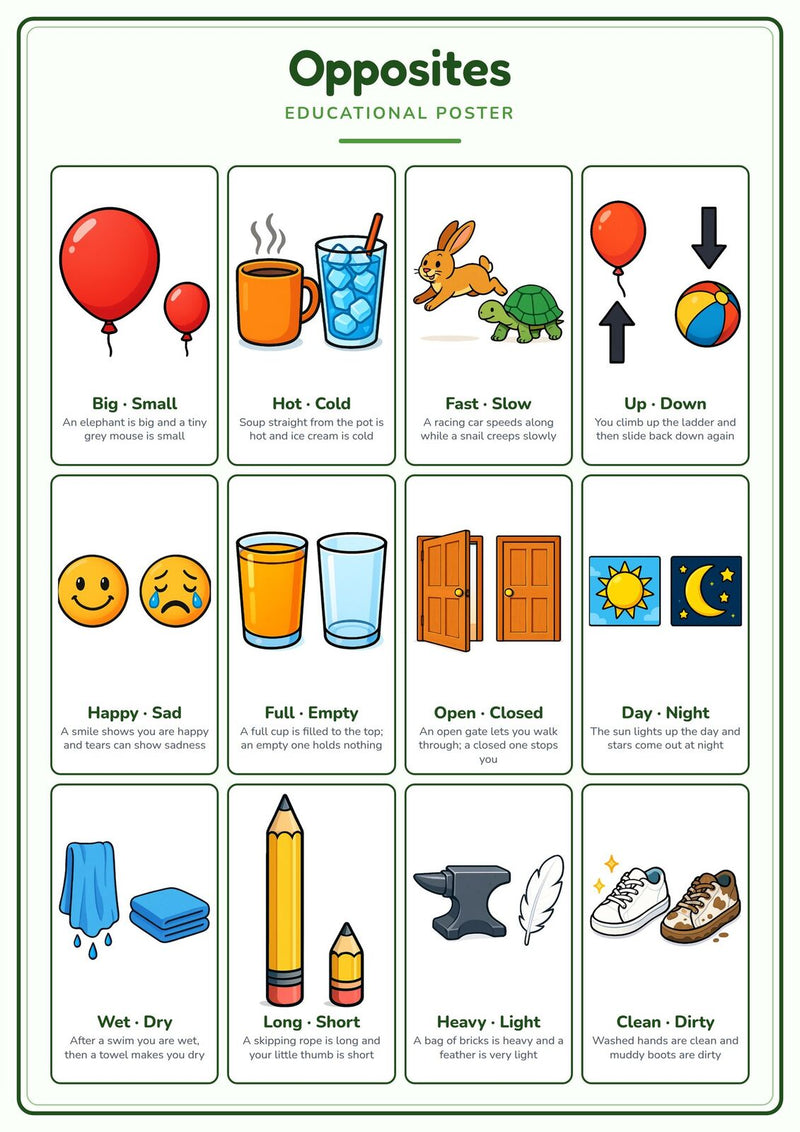 Load image into Gallery viewer, Opposites: A4 Matte Laminated Educational Poster Print - 210x297mm-1

