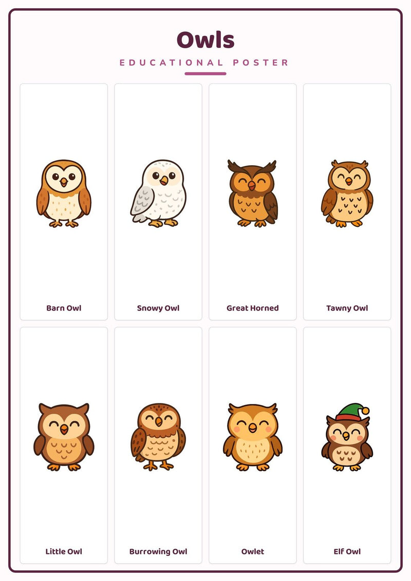 Load image into Gallery viewer, Owls: A4 Matte Laminated Educational Poster Print - 210x297mm-0
