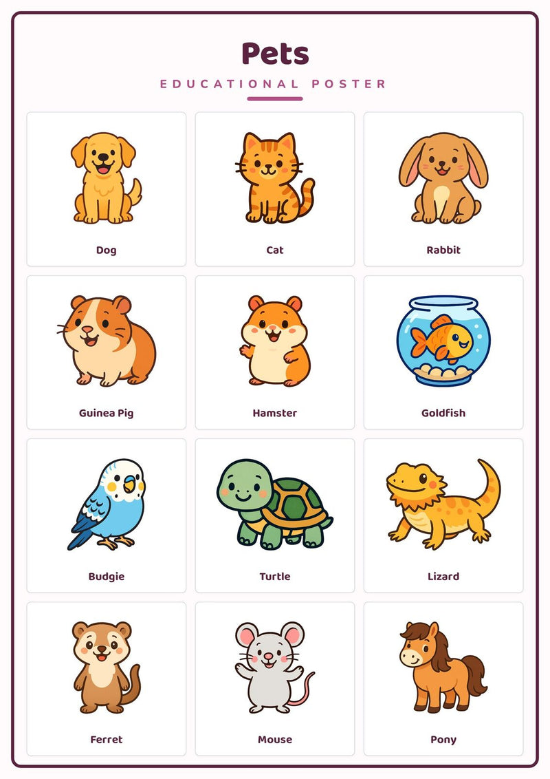 Load image into Gallery viewer, Pets: A4 Matte Laminated Educational Poster Print - 210x297mm-1
