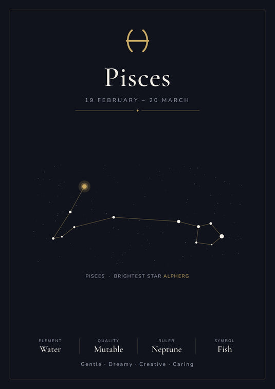 Pisces Zodiac Constellation Black: A4 Matte Laminated Educational Poster Print - 210x297mm-0