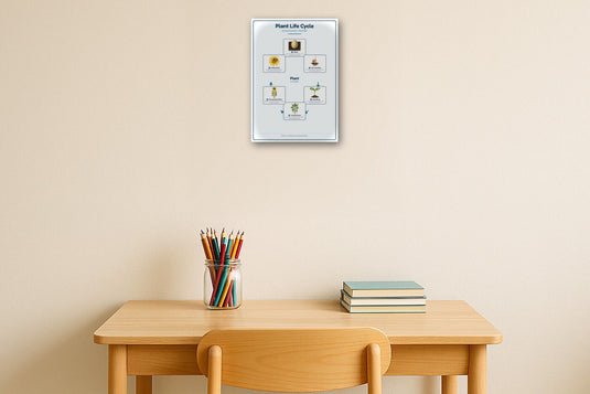 Plant Life Cycle: A4 Matte Laminated Educational Poster Print - 210x297mm-2