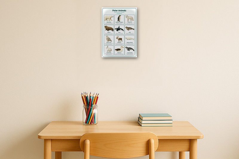 Load image into Gallery viewer, Polar Animals: A4 Matte Laminated Educational Poster Print - 210x297mm-2
