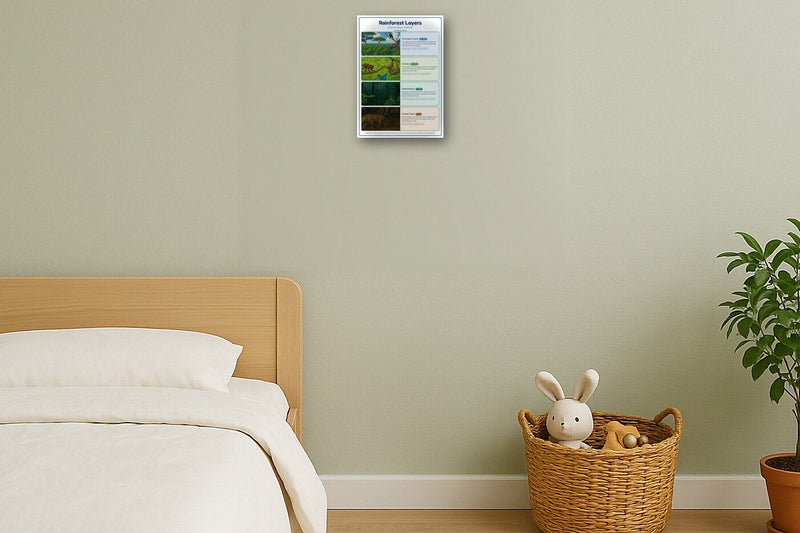 Load image into Gallery viewer, Rainforest Layers: A4 Matte Laminated Educational Poster Print - 210x297mm-2
