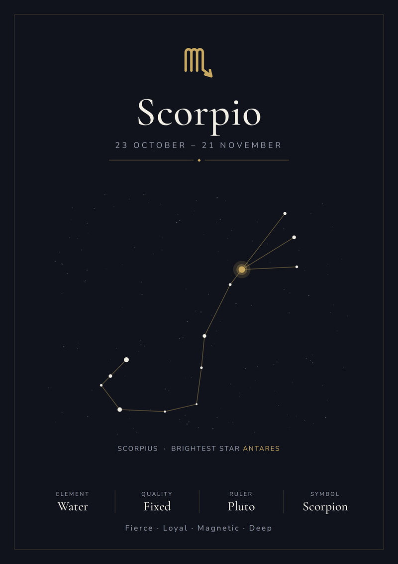 Load image into Gallery viewer, Scorpio Zodiac Constellation Black: A4 Matte Laminated Educational Poster Print - 210x297mm-0
