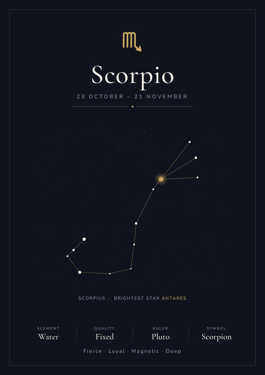 Scorpio Zodiac Constellation Black: A4 Matte Laminated Educational Poster Print - 210x297mm-0