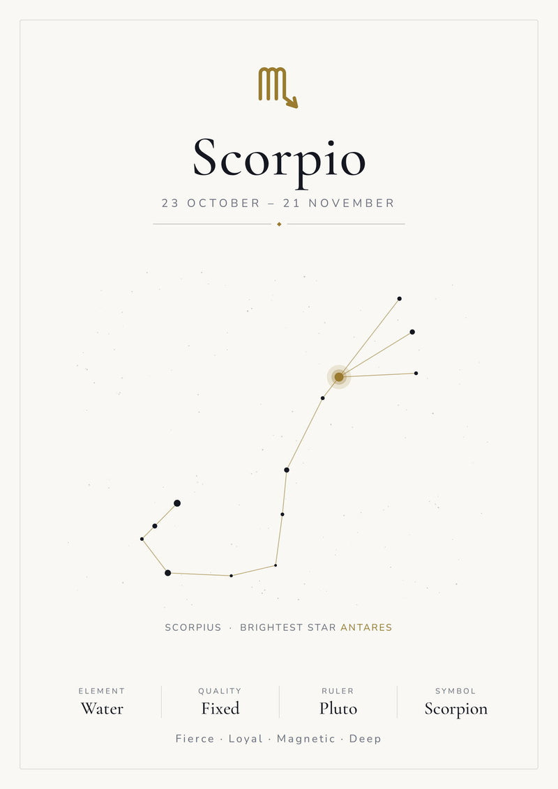 Load image into Gallery viewer, Scorpio Zodiac Constellation White: A4 Matte Laminated Educational Poster Print - 210x297mm-1
