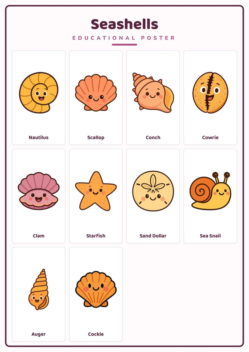 Load image into Gallery viewer, Seashells: A4 Matte Laminated Educational Poster Print - 210x297mm-1
