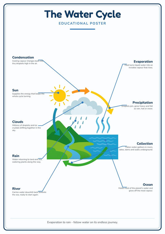 The Water Cycle: A4 Matte Laminated Educational Poster Print - 210x297mm-1