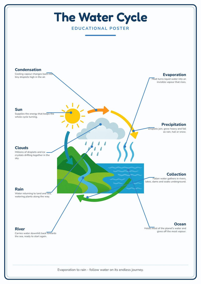Load image into Gallery viewer, The Water Cycle: A4 Matte Laminated Educational Poster Print - 210x297mm-0

