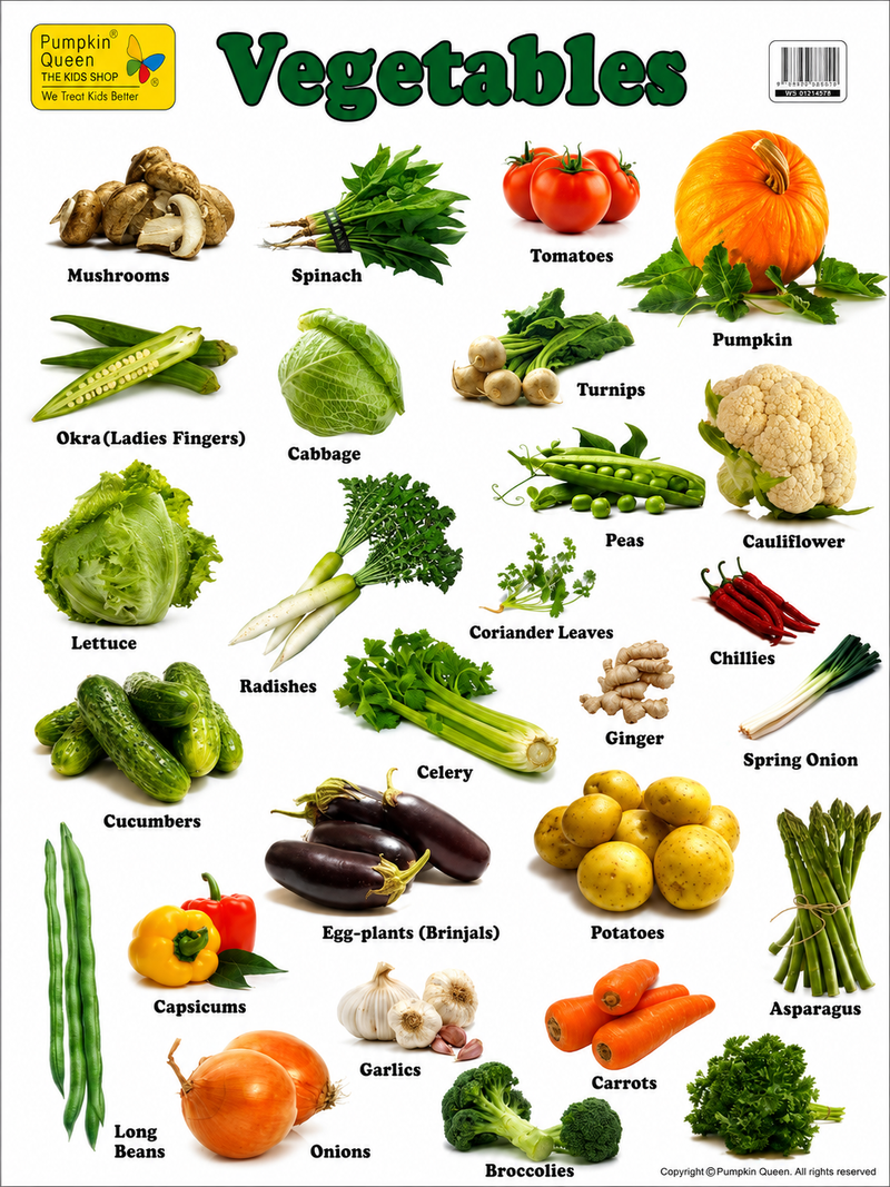 Load image into Gallery viewer, Large "Vegetables" Educational Poster - 73x52cm Size - Portrait (Printed by Pumpkin Queen)-1
