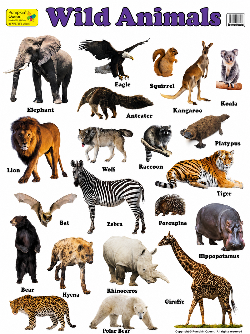 Load image into Gallery viewer, Large "Wild Animals" Educational Poster - 73x52cm Size - Portrait (Printed by Pumpkin Queen)-0

