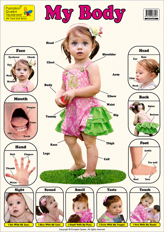 Large "My Body" Educational Poster - 73x52cm Size - Portrait (Printed by Pumpkin Queen)-0