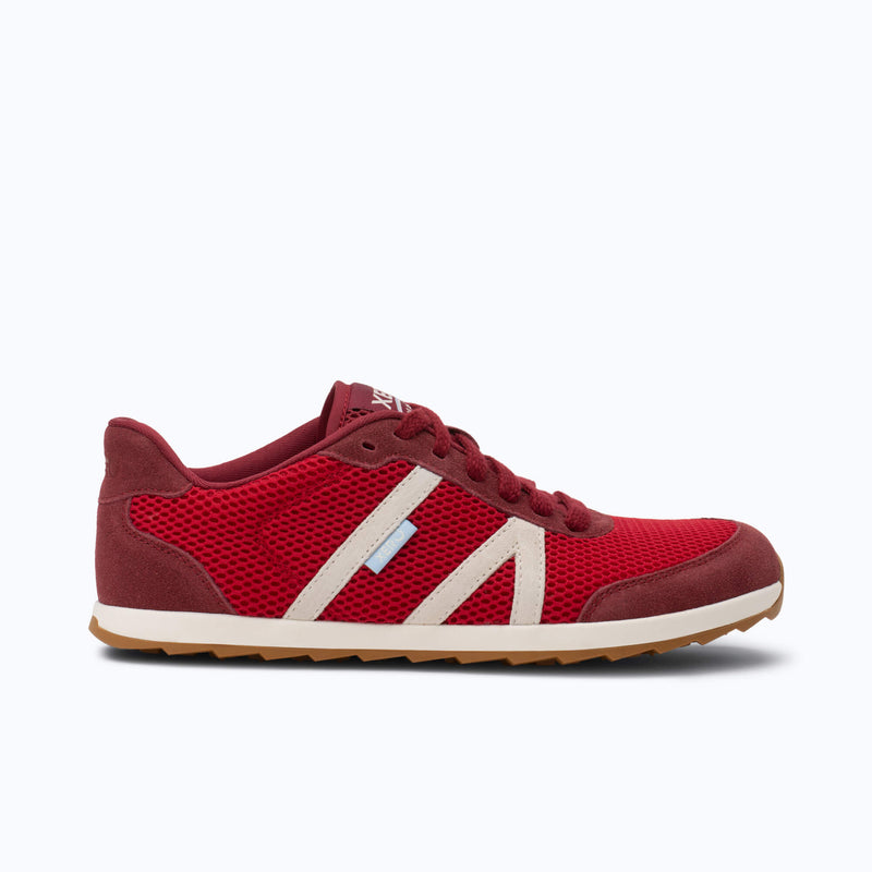Load image into Gallery viewer, Xero Shoes Wynn – Women's Barefoot Lifestyle Sneaker
