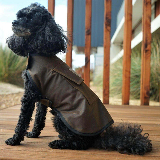 JACARU Wax Oil Skin Cotton Dog Coat Jacket Fully Lined