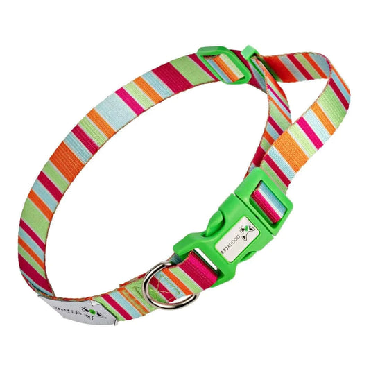 DOGGY ECO Eco Friendly Dog Collar ”Soda” Made from Recycled Plastic | Adventureco